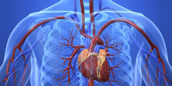 heart-disease | Advanced Cardiovascular Specialists