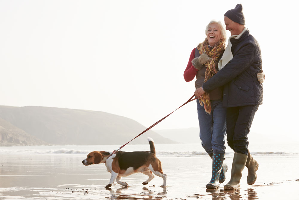 Safeguard Your Heart From Viral Infections